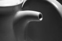 Creamer and Holder