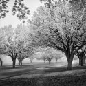 img1582-edit
