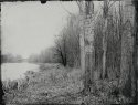 River bank