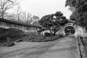 Classical Chinese Garden