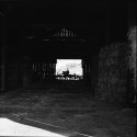 Waiting in the shadows