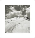 Huguenot Beach Dune