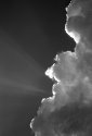 Silver Lining