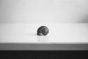 Homage to Edward Weston