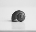 Remembering Edward Weston