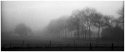 A foggy morning - First test shot with Nikon S2 (2)