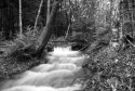 img015aweba