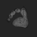 foot print