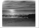 Sunsetting at Diver's Cove, Laguna Beach, CA