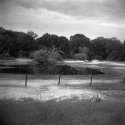 Mayo,Fl. 1