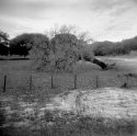 Mayo,Fl. 2
