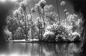 LA County Arboretum