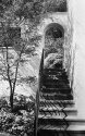 Garden Steps.
