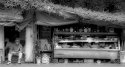 Roadside Shop