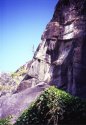 MSA Stone: Old Stoneface