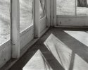 Screen Porch, Morning Light