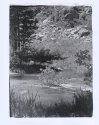 River Scene