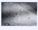 Yokut Pictograph, Camp Nelson