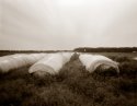 plaistic wrapped hay