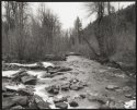Hyalite Creek