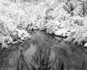 bear creek