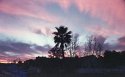 After the storm