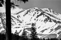 Shasta from a distance