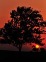 Sunset cropped