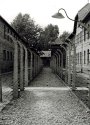 Auschwitz Barraks and Barbed Wire
