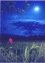 Full moon