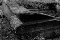 Car Graveyard