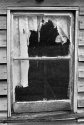 Torn Curtain.