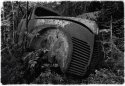 Car Graveyard