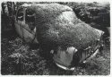 Car Graveyard