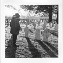 The Somme