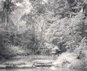 Bridge Over Eagle Creek