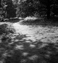 Outing with 1962 ROLLEIFLEX 3.5 E-3 Planar