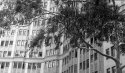 lb hotel