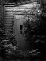 The Laneway