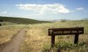 PCT