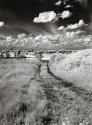 Green Belt IR