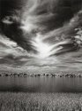 Ottawa River IR