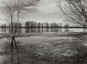 Spring Flood