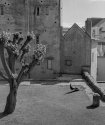 Lisbon