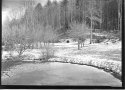 Pond, snow and trees