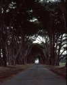 Pt Reyes District Office