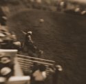Red Eye Rodeo