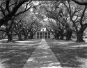 Oak Alley, 2004