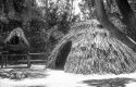 grass hut 1