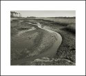 Salt Marsh at Low Tide